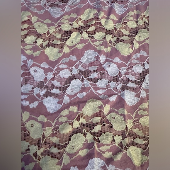 Zara pink lace sheer crop top pastel‎ color tee - Picture 3 of 10